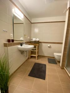 特熱邦的住宿－Apartmány Duo Třeboň，一间带水槽、卫生间和镜子的浴室