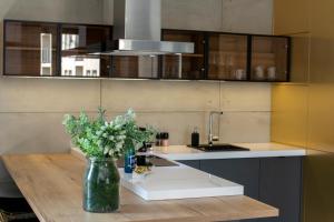 Kuchnia lub aneks kuchenny w obiekcie EL Apartments - Antares