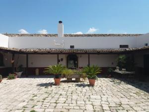 a patio with potted plants in front of a building at Oasi Rupestre in Montescaglioso