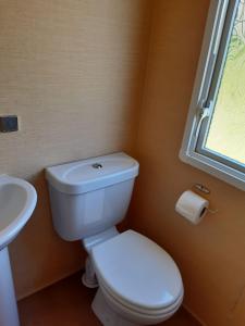 a bathroom with a white toilet and a sink at Port Haverigg Holiday Village in Millom