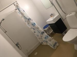 a bathroom with a toilet and a shower curtain at Motoristen in Vara