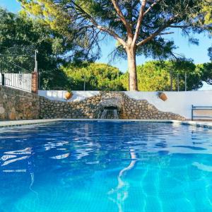 a swimming pool with a stone wall and a tree at Finca El Abuelo in Barbate