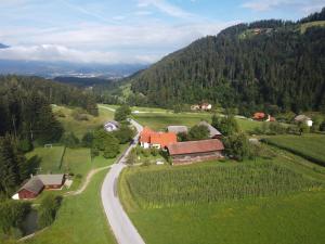 Tourist Farm Klevž с высоты птичьего полета