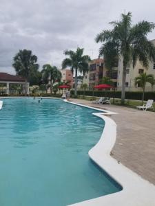 a large swimming pool with palm trees and buildings at SANTIAGO CITY in Santiago de los Caballeros