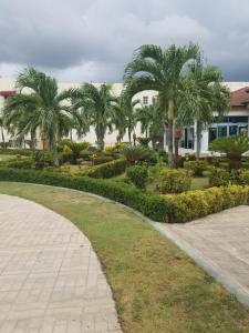 a park with palm trees in front of a building at SANTIAGO CITY in Santiago de los Caballeros