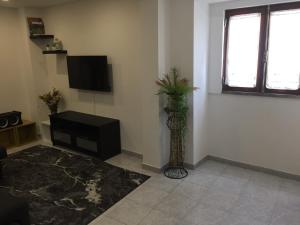 uma sala de estar com televiso e um vaso com uma planta em Casa Porta de Santiago em Pinhel