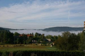 a view of a field with fog in the distance at Pension Wiesengrund in Schluchsee