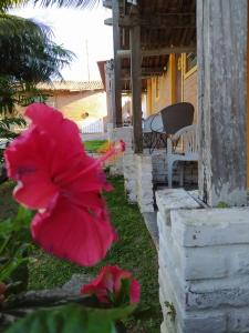 una flor rosa frente a una casa en Pousada Bom Clima em Gravatá - Servimos cestas de Café da Manhã en Gravatá