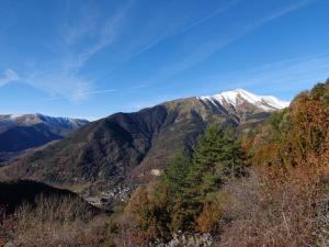 a snow covered mountain in the distance with trees at Refugio Lucien Briet in Torla-Ordesa