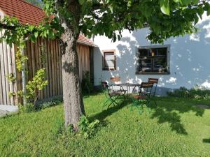 a table and chairs under a tree in the yard at 5Sterne Ferienwohnung im Fachwerk mit Bergblick in Alleinlage und großem Garten, Infrarotkabine in Humberg