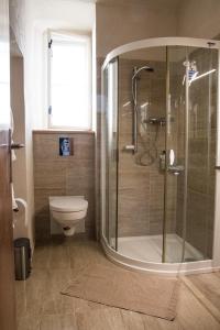 bagno con doccia e servizi igienici. di U Černého kocoura a zeleného stromu a Tábor