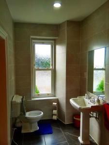A bathroom at Bryncoed Guest House 