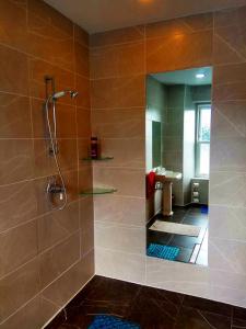 A bathroom at Bryncoed Guest House 