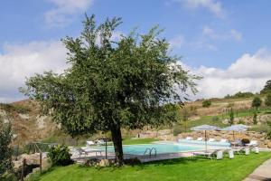 a tree next to a swimming pool in a yard at Girasole Cottage overlooking the Orcia valley in Tuscany in Radicofani