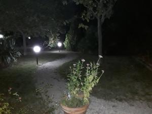 Vonkajšia záhrada v ubytovaní La Casa nel Verde