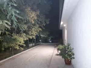 Fotografia z galérie ubytovania La Casa nel Verde v destinácii Larino