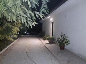 Fotografia z galérie ubytovania La Casa nel Verde v destinácii Larino