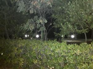 Fotografia z galérie ubytovania La Casa nel Verde v destinácii Larino