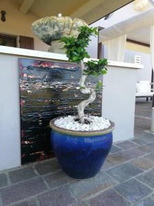 a bonsai tree in a blue pot in front of a painting at B&B Flavio e Catia in Marotta