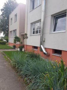 um edifício com um monte de plantas em frente dele em Kaimo apartamentai! em Budraičiai