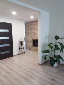 a living room with a fireplace and a potted plant at Kaimo apartamentai! in Budraičiai