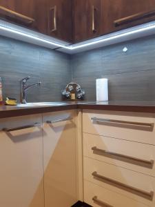 a kitchen with wooden cabinets and a sink at Kod Gruja in Ribnica +35 photos