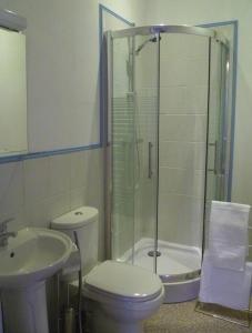 a bathroom with a shower and a toilet and a sink at La Maison Du Marchand in Peyrat-le-Château