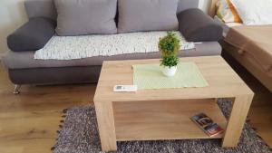uma mesa de centro numa sala de estar com um sofá em Apartments Miki em Bar