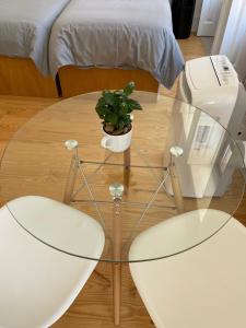 einem Glastisch mit einer Topfpflanze darüber in der Unterkunft Porto.Leça - Studios and Apts (Apt D) in Leça da Palmeira