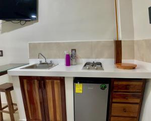 um balcão de cozinha com um lavatório e uma máquina de lavar louça em Lidxi Rosae em Puerto Escondido