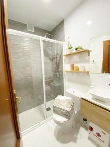 a bathroom with a shower and a toilet and a sink at los pisitos de El Barraco 2 in El Barraco