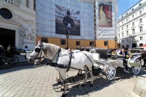 ein weißes Pferd, das vor einem Gebäude eine Kutsche zieht in der Unterkunft Sobieski Town Apartments in Wien