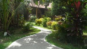 un chemin traversant le jardin d'une maison dans l'établissement Bungalow auf Sibuyan am Strand nahe Cresta de Gallo, à Azagra