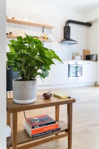 Una cocina o kitchenette en Your Perfect Relaxing Eclectic Gateway In Athens