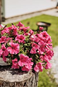Giardino di Almdorf Omlach, Fanningberg