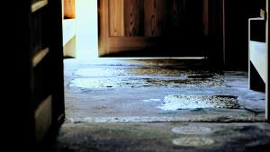 an open door to a dark room with a puddle of water at Kokonoe Machiya in Kyoto
