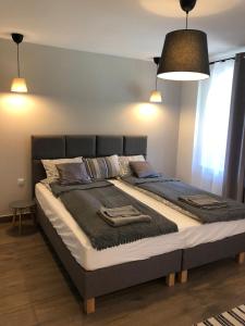 een bed in een slaapkamer met twee kussens erop bij Willa Mała Czarna in Wisła