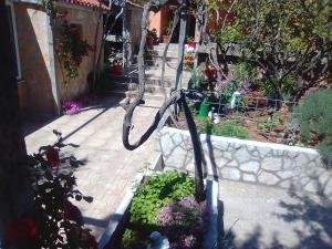 Vonkajšia záhrada v ubytovaní Apartmans Lavanda Island Hvar