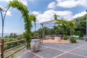 a garden with a metal structure with vines at Boscoscuro in Ragalna