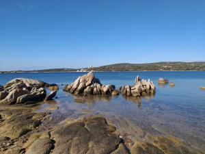 um grupo de focas sentadas sobre rochas na água em Elsanais em Figari