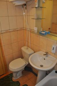 bagno con servizi igienici e lavandino di Apartment for rent Reasonable price a Kremenčuk