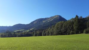 Príroda v okolí horskej chaty