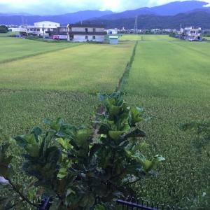 Paesaggio naturale nelle vicinanze della stanza in casa privata