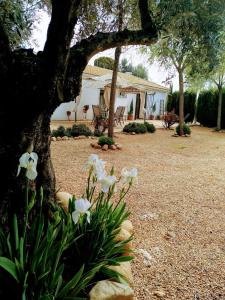 um jardim com flores brancas em frente a uma casa em La Casa del Abuelo Jose em Marmolejo