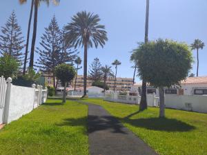 A garden outside Santa Barbara by Placida Mar