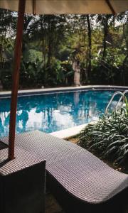 Swimmingpoolen hos eller tæt på Ubud Hotel & Cottages