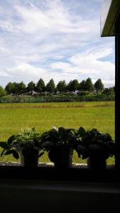 Giardino di Moon Child Field