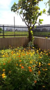 Giardino di Moon Child Field