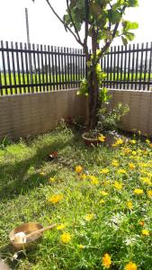 Giardino di Moon Child Field