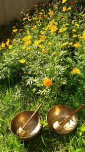 Giardino di Moon Child Field